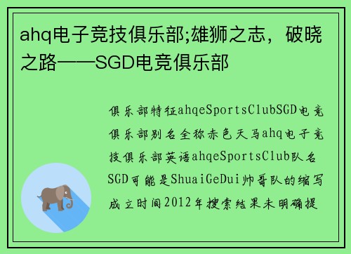ahq电子竞技俱乐部;雄狮之志，破晓之路——SGD电竞俱乐部